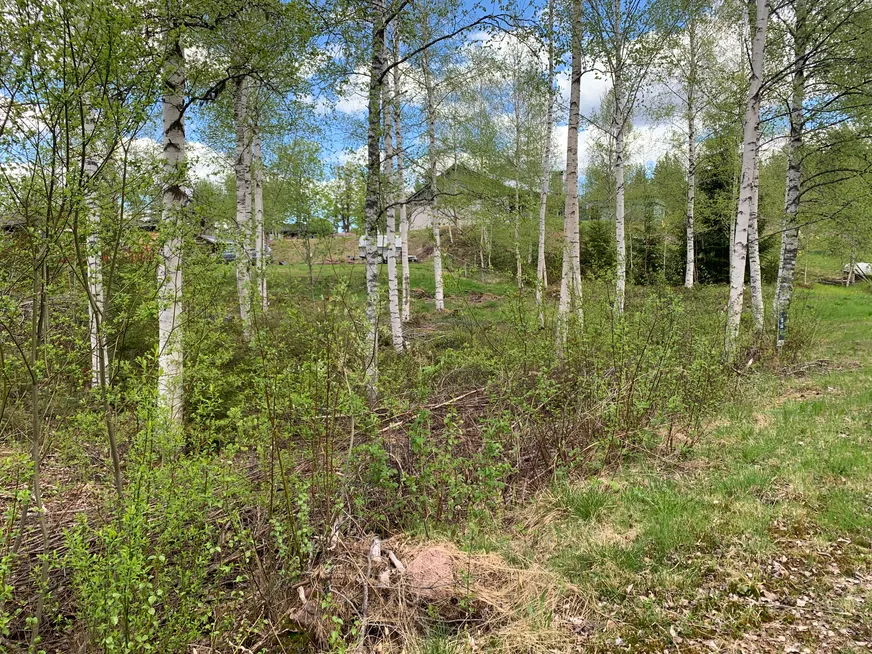 Fullskärm