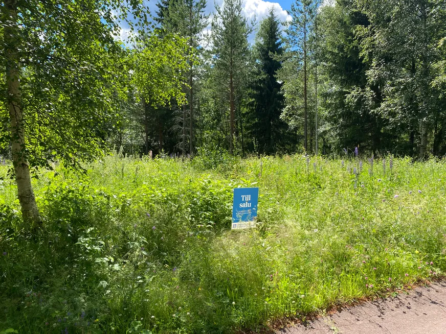 Fullskärm