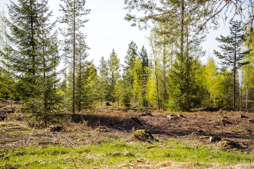 Fullskärm