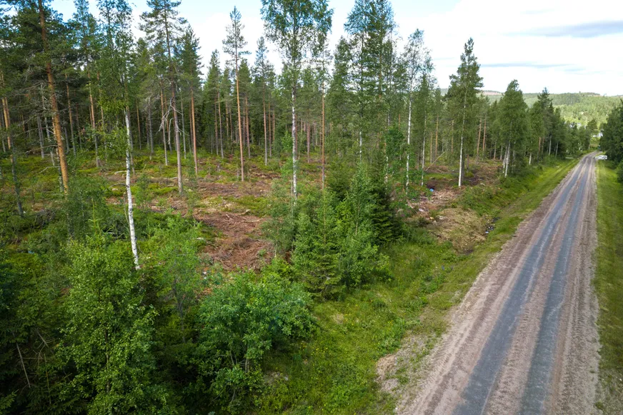 Fullskärm