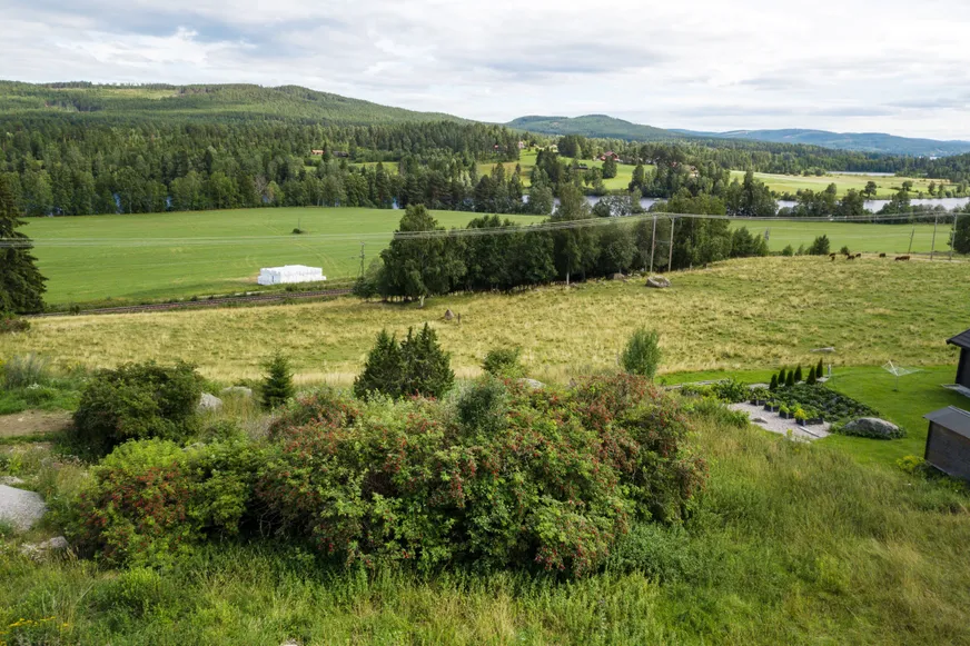 Fullskärm