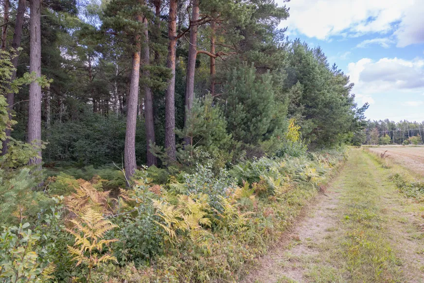 Fullskärm