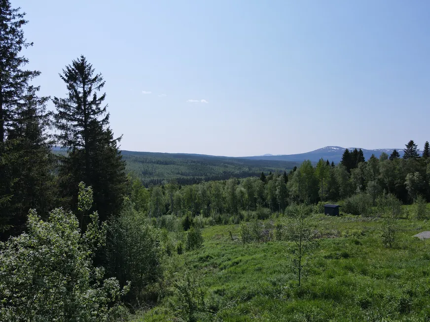 Fullskärm