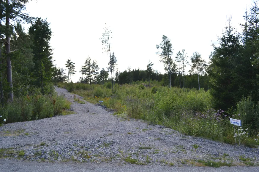 Väddö kustväg 250 photo 4