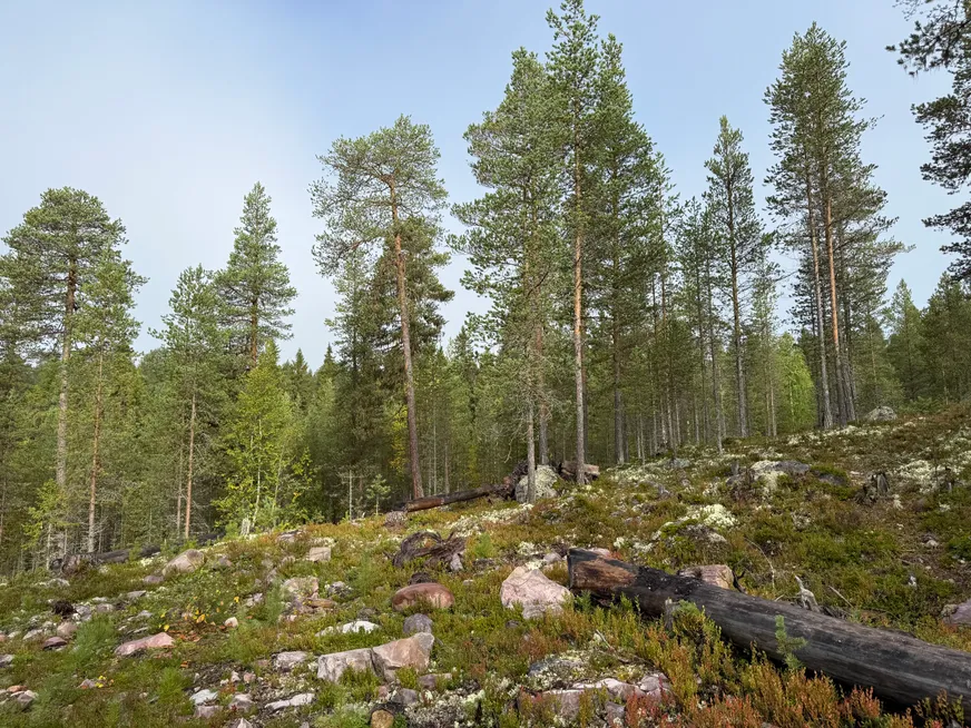 Fullskärm