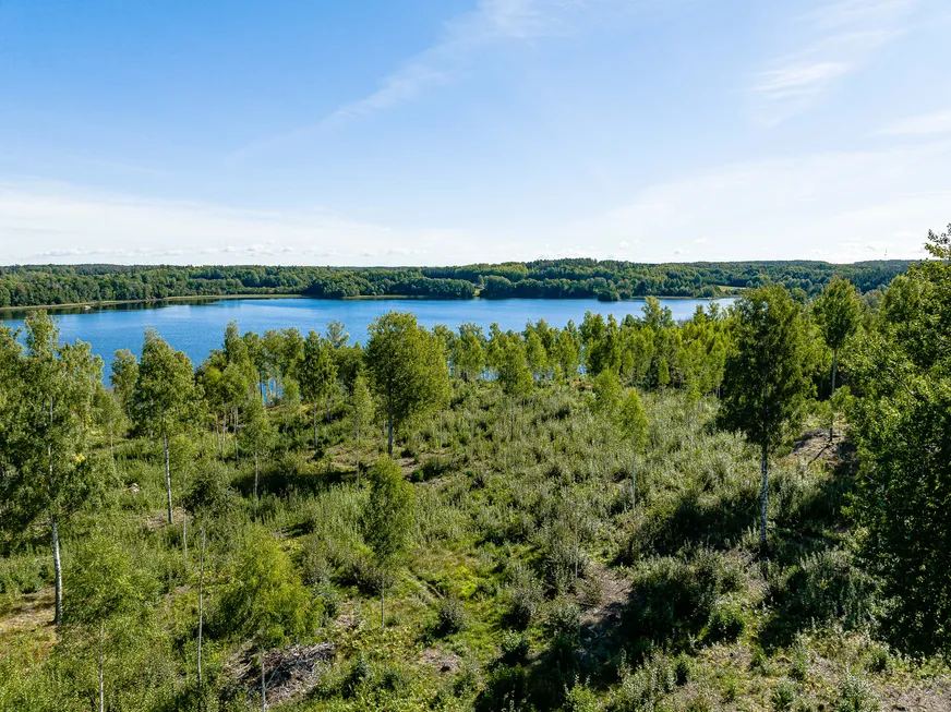 Fullskärm