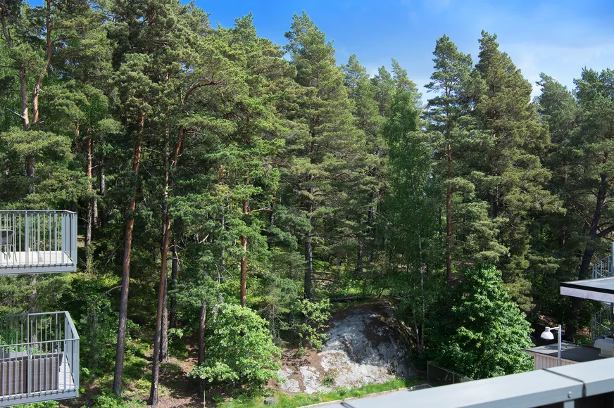 Fullskärm