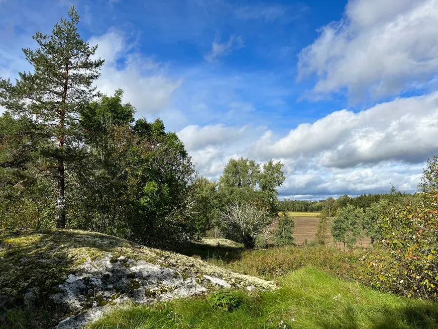 Fullskärm