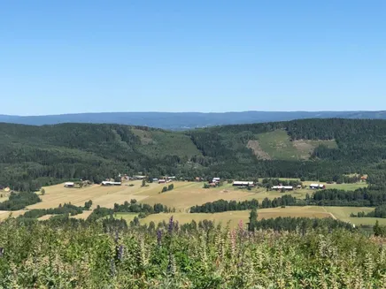 Fullskärm