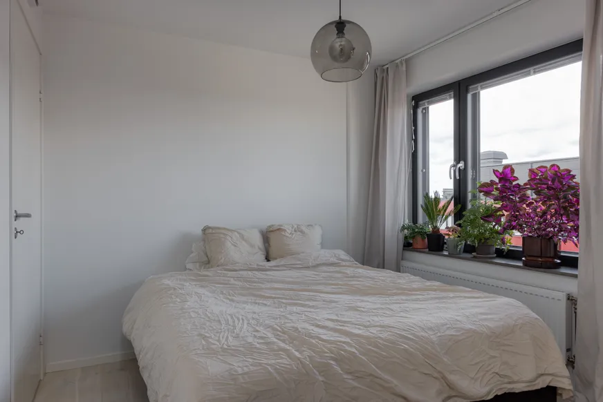 Fullskärm