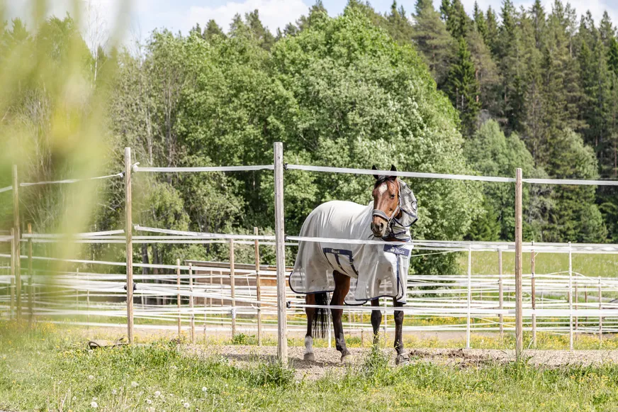 Fullskärm