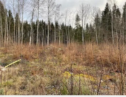 Fullskärm