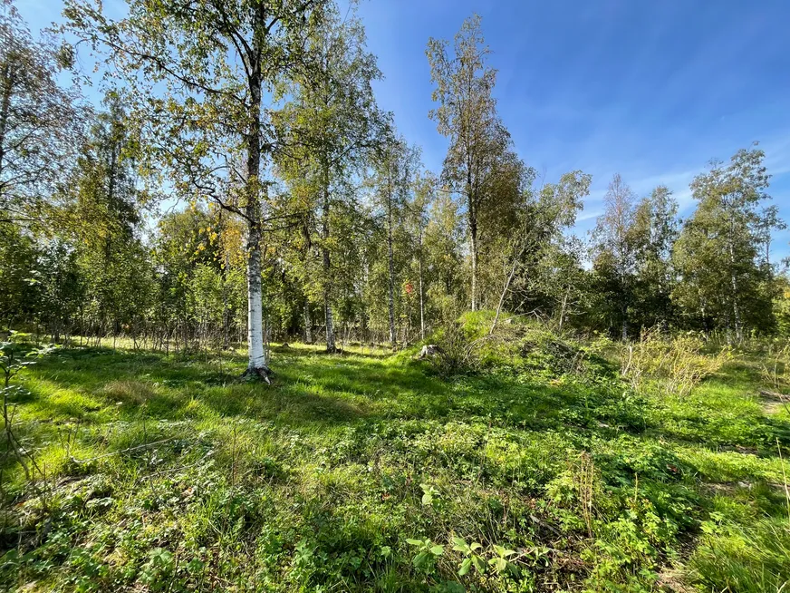Fullskärm