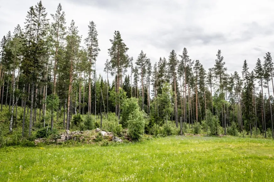 Fullskärm
