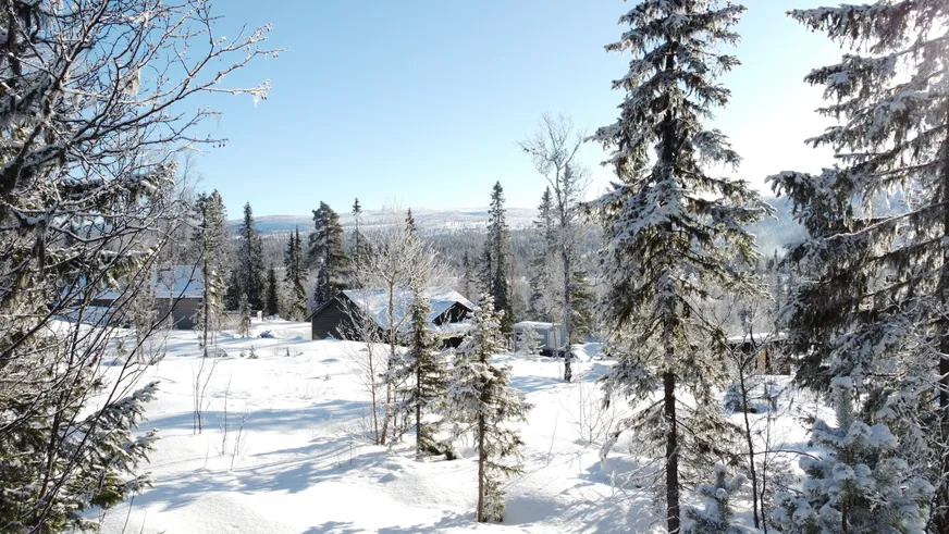 Fullskärm