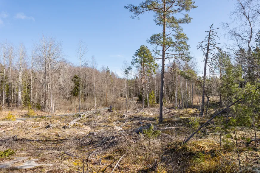 Fullskärm