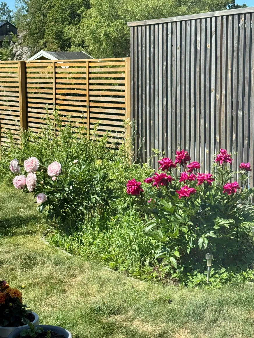 Fullskärm