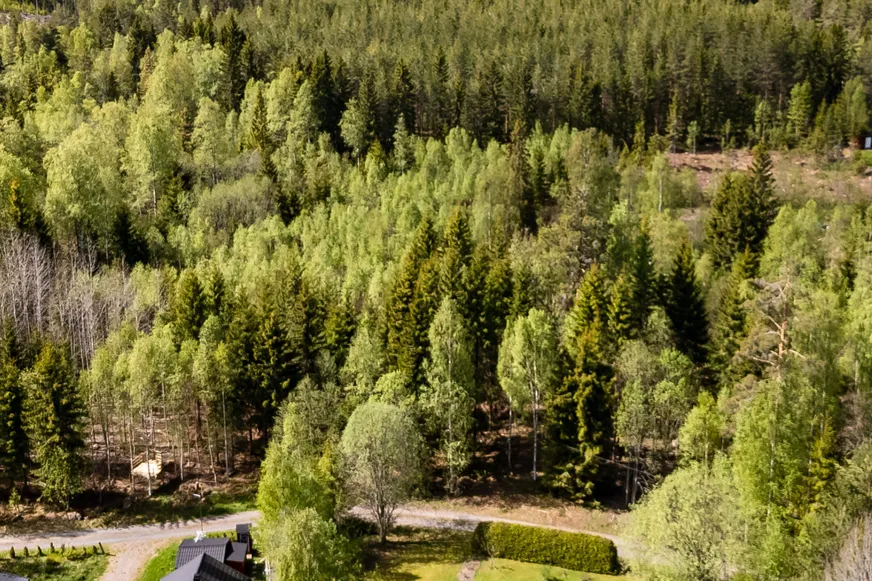 Fullskärm