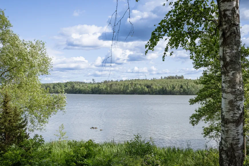 Fullskärm