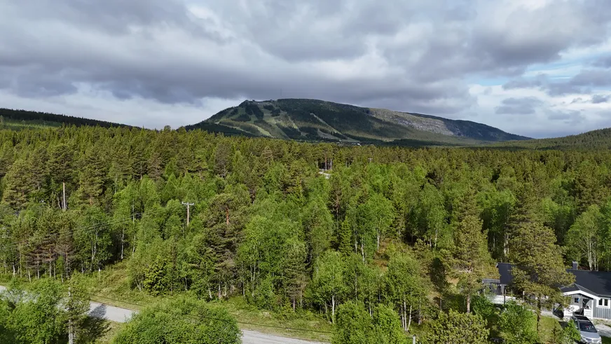 Fullskärm