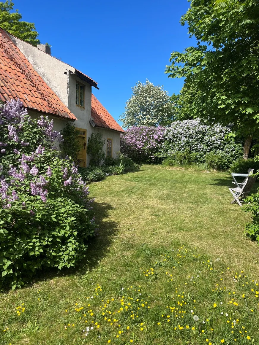 Fullskärm
