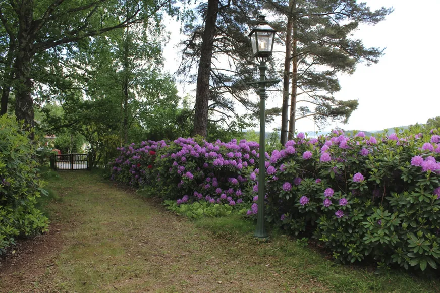Fullskärm