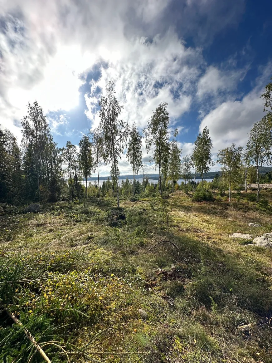 Fullskärm