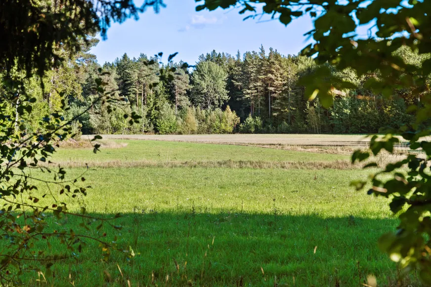 Fullskärm