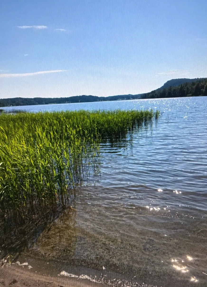 Fullskärm