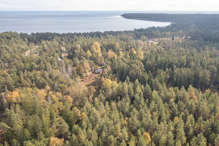 Fullskärm