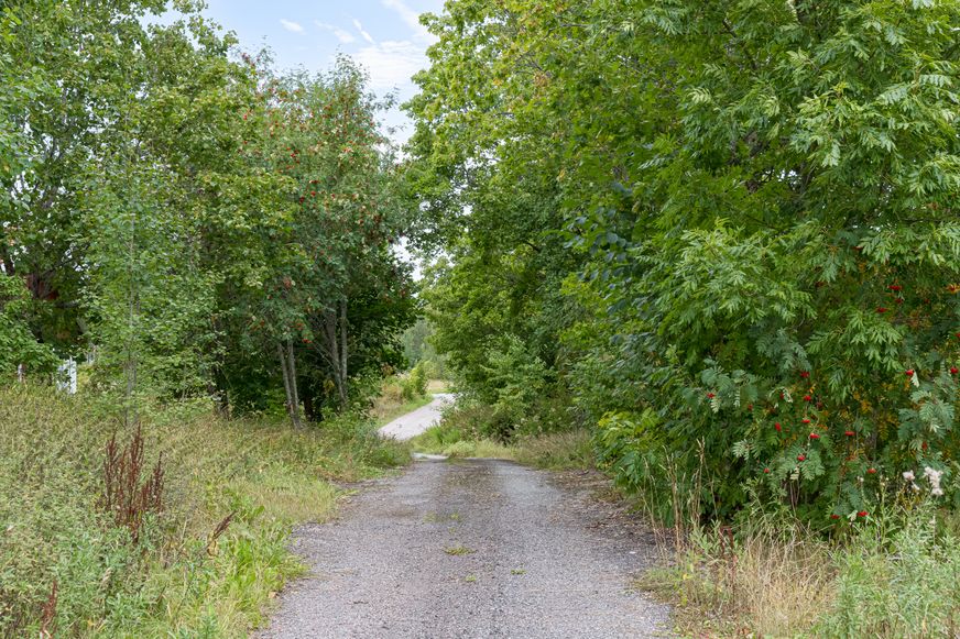 Fullskärm