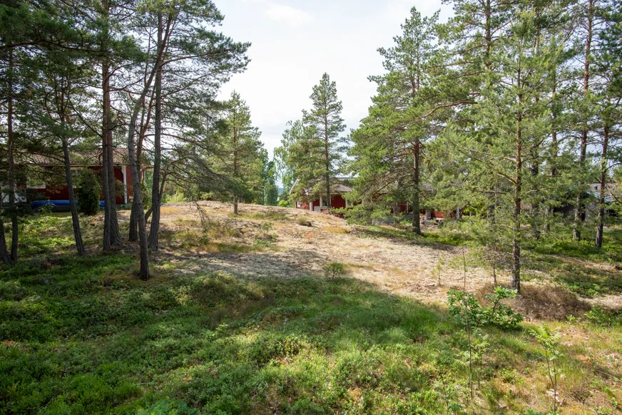 Fullskärm