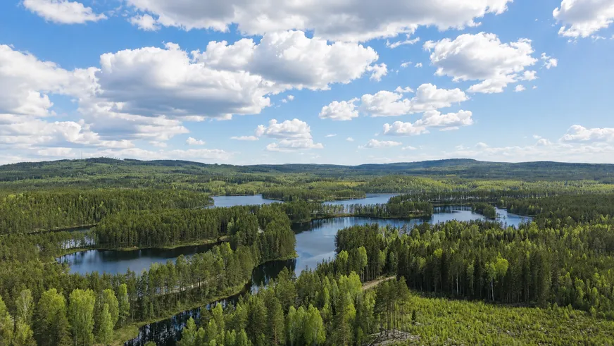 Fullskärm