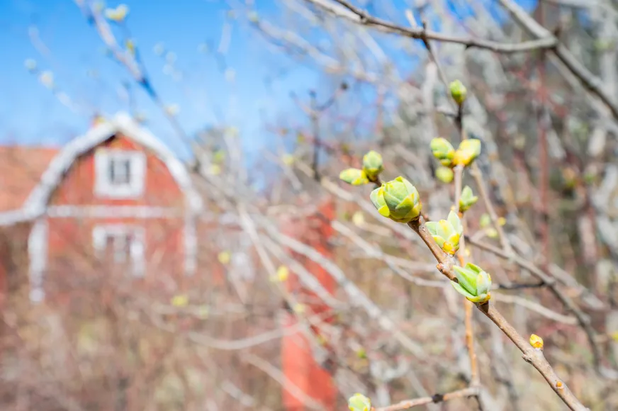 Villa, Sågen 1, Svärta, Nyköping