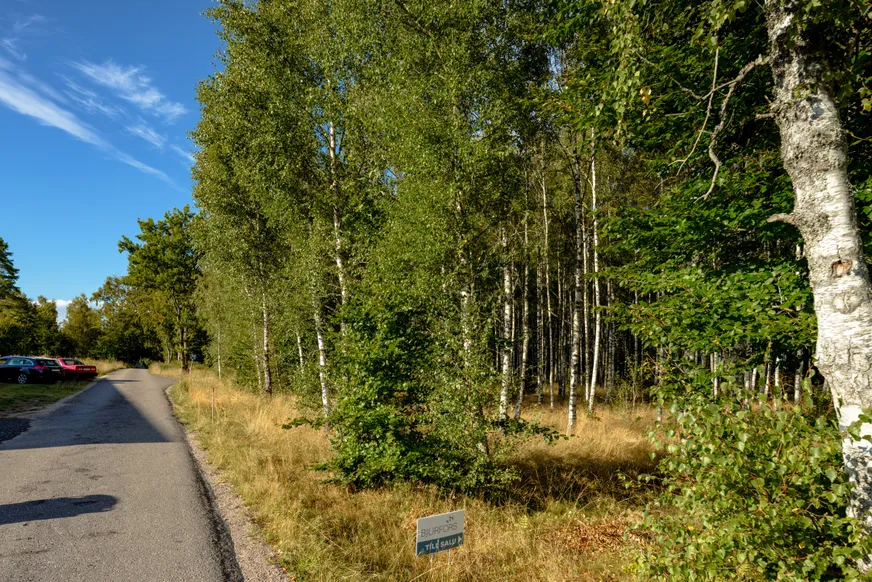 Fullskärm