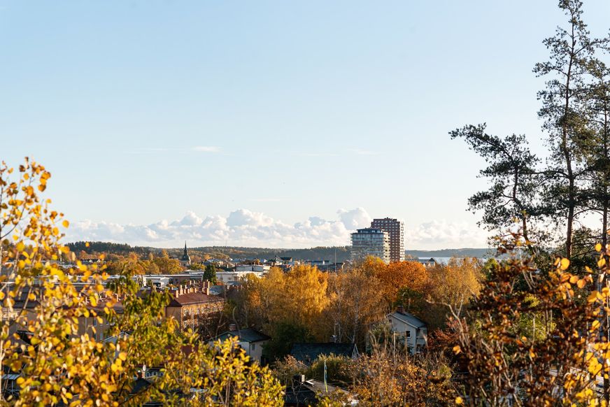Fullskärm
