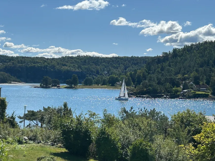 Fullskärm