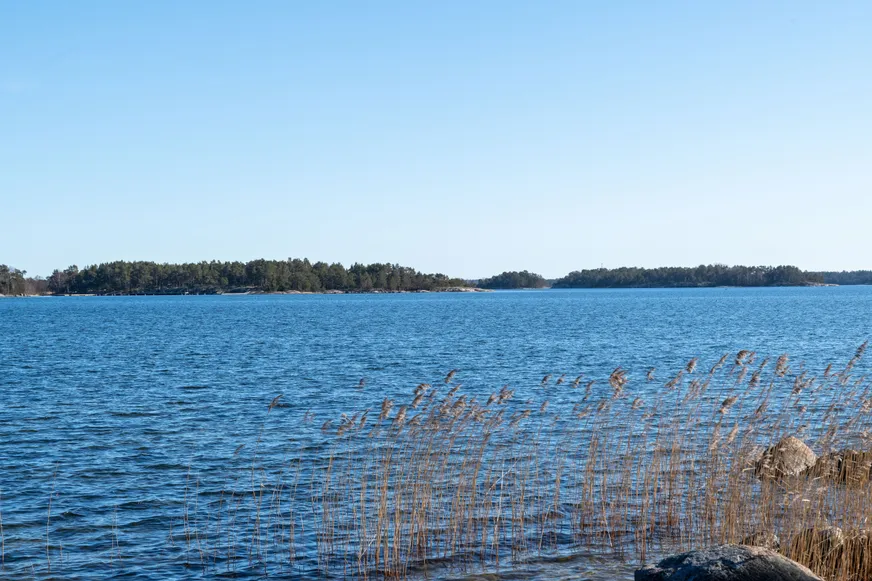 Fullskärm