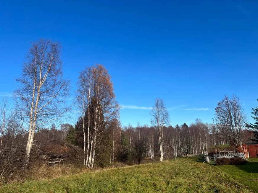 Fullskärm