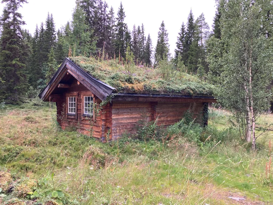 Fullskärm