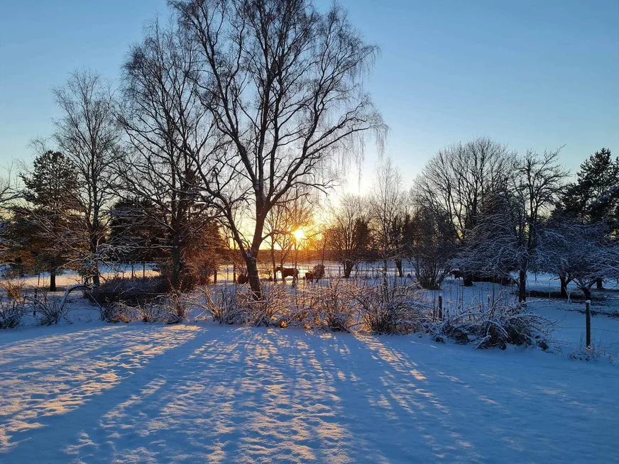 Fullskärm