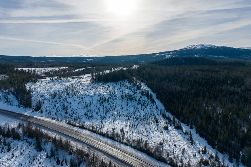 Fullskärm
