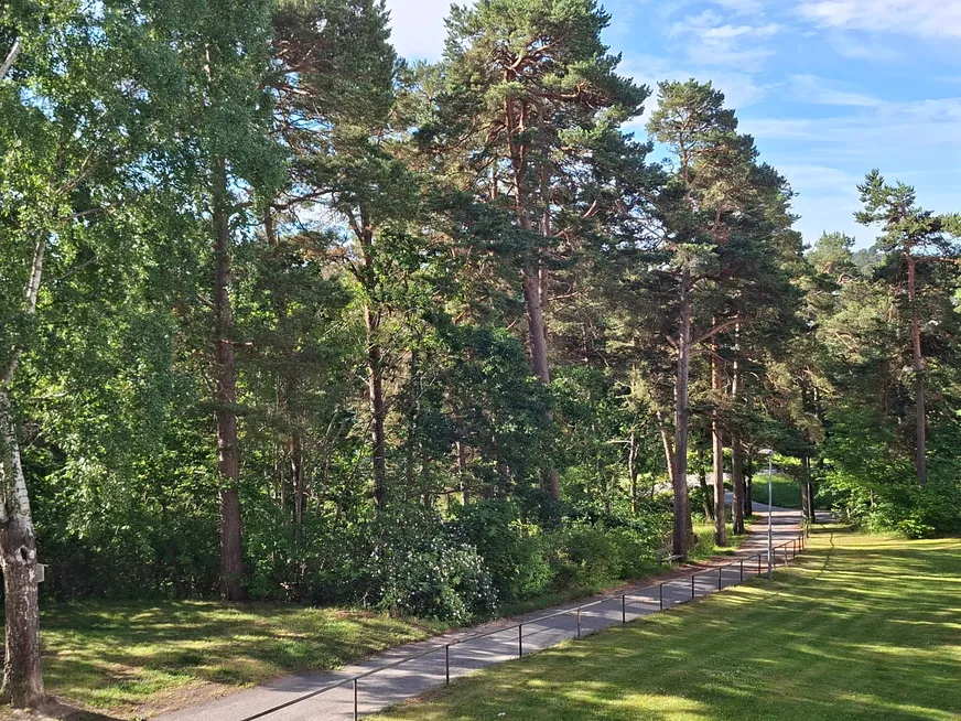 Fullskärm