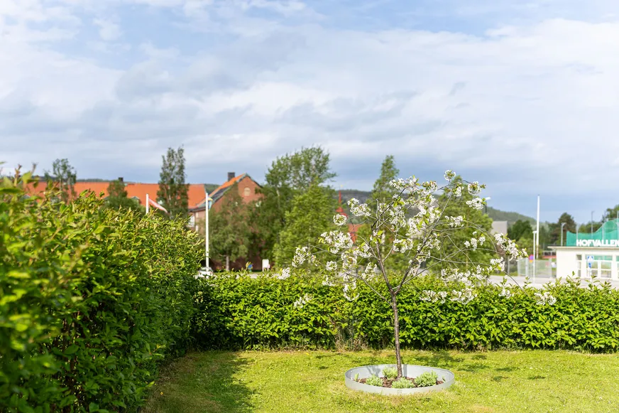 Fullskärm