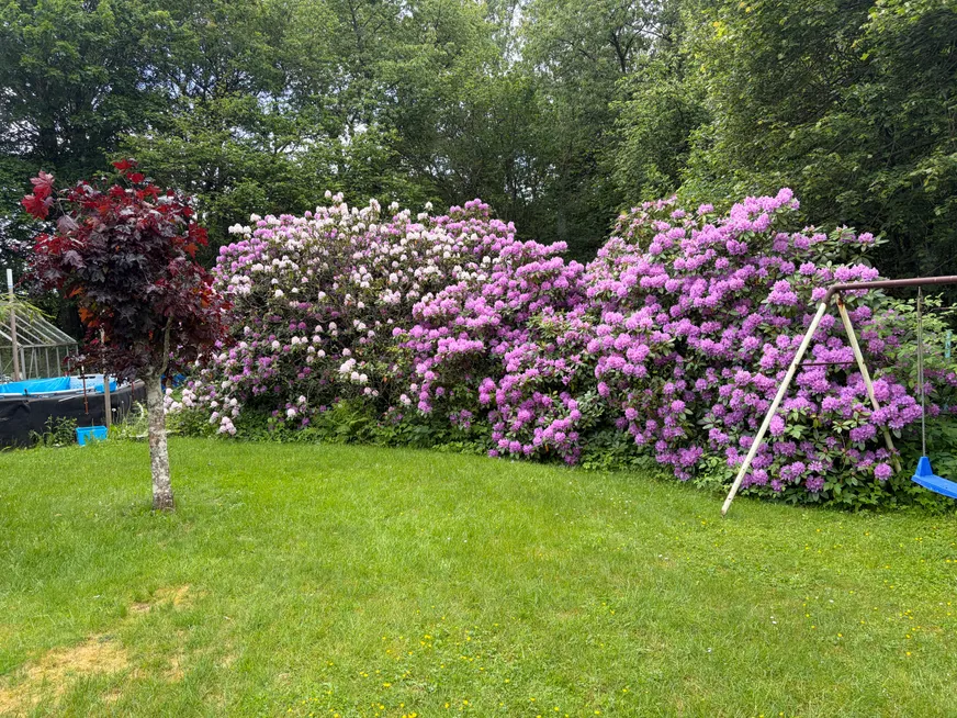 Fullskärm