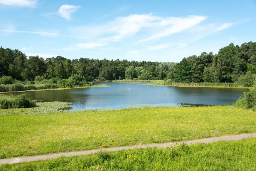 Fullskärm