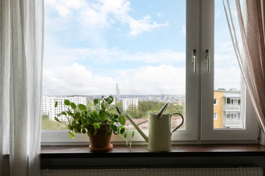 Fullskärm