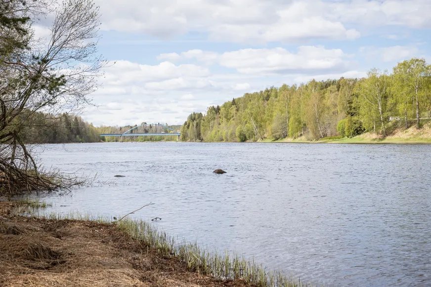 Fullskärm