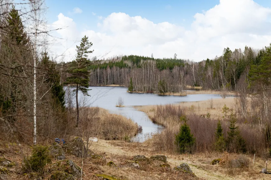 Fullskärm