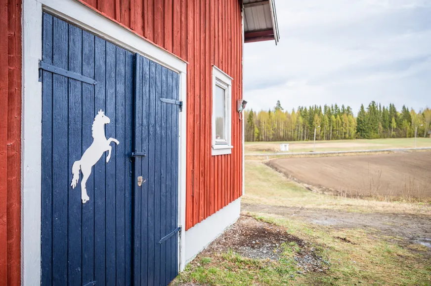 Fullskärm
